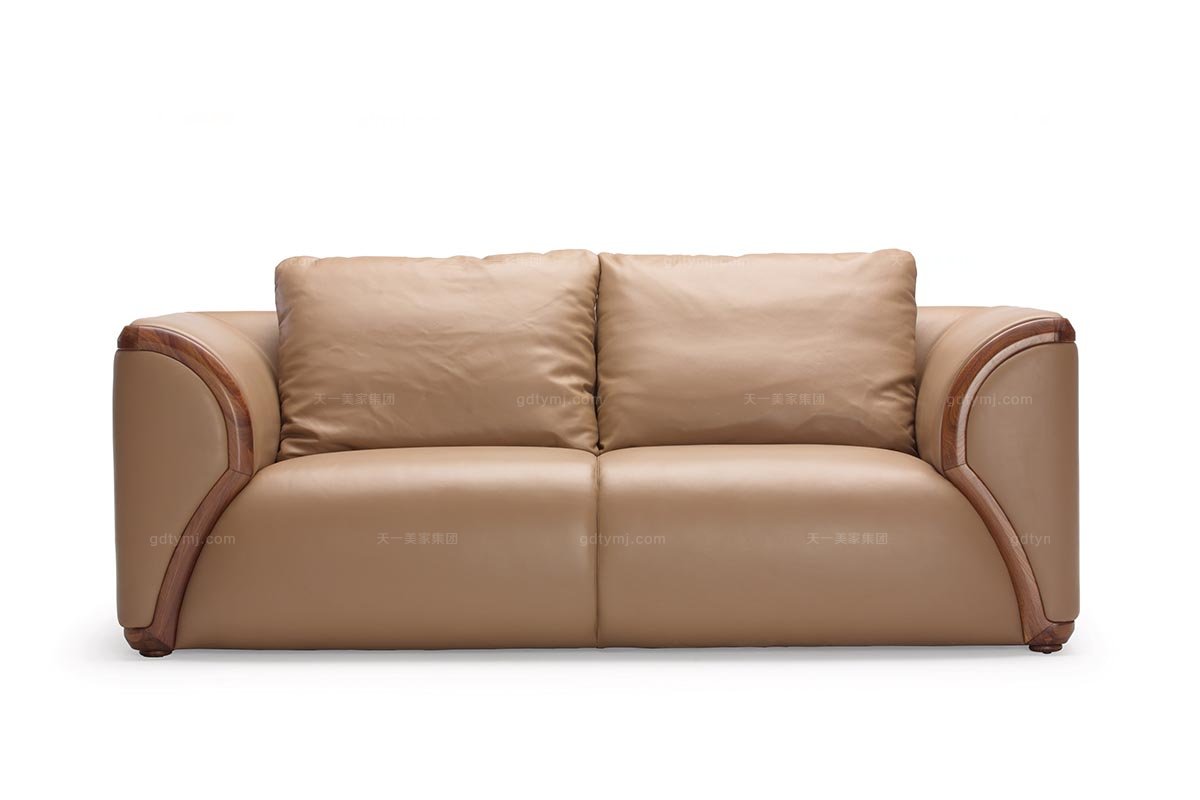 現代高端家具品牌簡約時尚真皮二位沙發