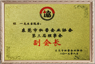 東莞市私營企業(yè)協(xié)會(huì)第三屆理事會(huì)副會(huì)長