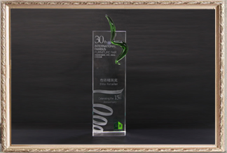 30屆國際名家具（東莞）展覽會(huì)15周年慶市場精英獎(jiǎng)