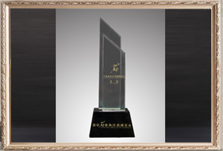 中國家具百強(qiáng)銷售精英金獎(jiǎng)