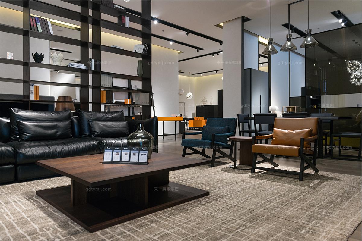 天一美家客廳簡奢沙發