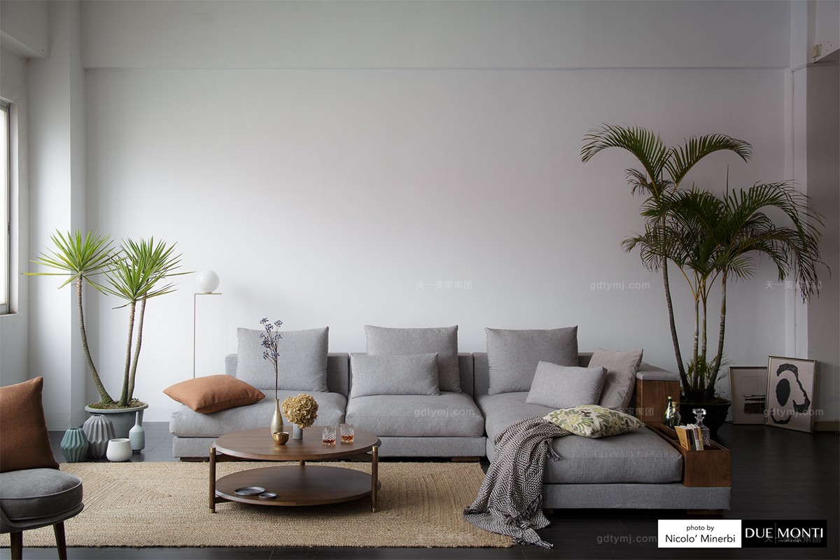 天一美家輕奢軟包布藝沙發